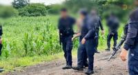Detienen a dos policías municipales de Zamora