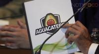 Aguacateros de Michoacán, nuevo equipo de basquetbol profesional