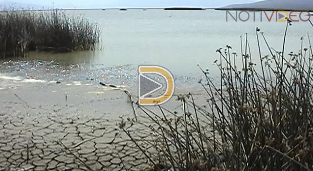 Lago de Cuitzeo afectado por parcelas y viviendas asegura edil
