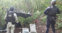 Desmantelan SSP y GN campamento utilizado por célula delictiva