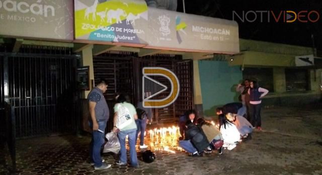 Animalistas de Michoacán piden a Zoológico de Morelia dar a conocer causas de la muerte de Yupik