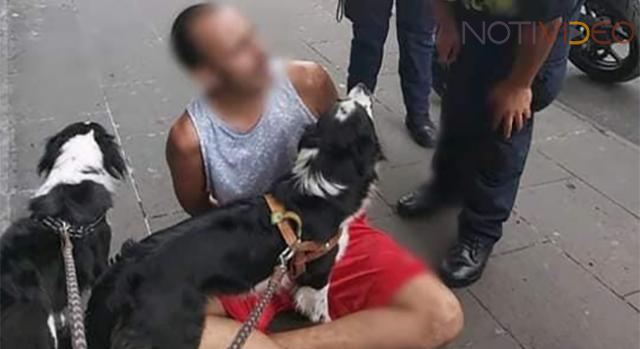 Por accidente rompe dos catrinas paseando a sus perros y fue arrestado 