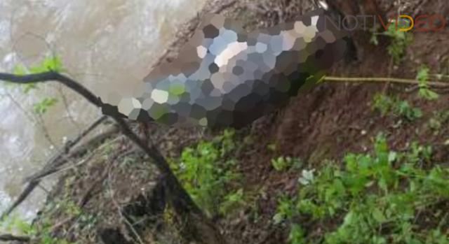 Descubren el cuerpo de un hombre baleado en el Río Grande - Notivideo