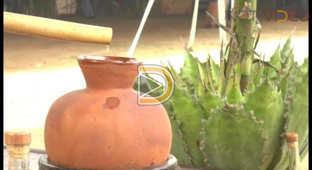 Mezcal michoacano tercero a nivel nacional