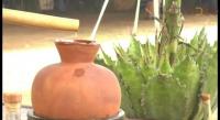 Mezcal michoacano tercero a nivel nacional