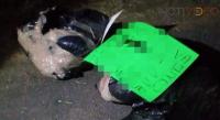 Abandonan cuerpos humanos envueltos en plásticos en Cotija 