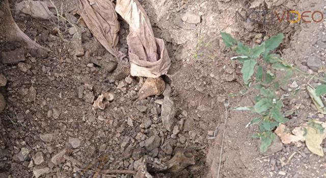 Familia escarba en su patio y descubre huesos humanos, en Las Guacamayas 