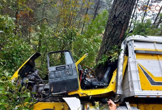 Camión aguacatero choca contra un árbol: hay un muerto y un herido