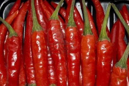 Droga en chiles 2011