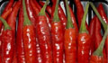 Droga en chiles 2011